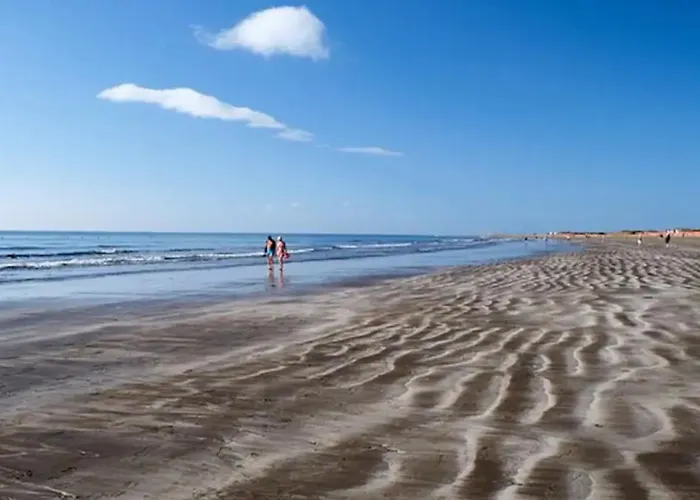 Con Piscina Privada *